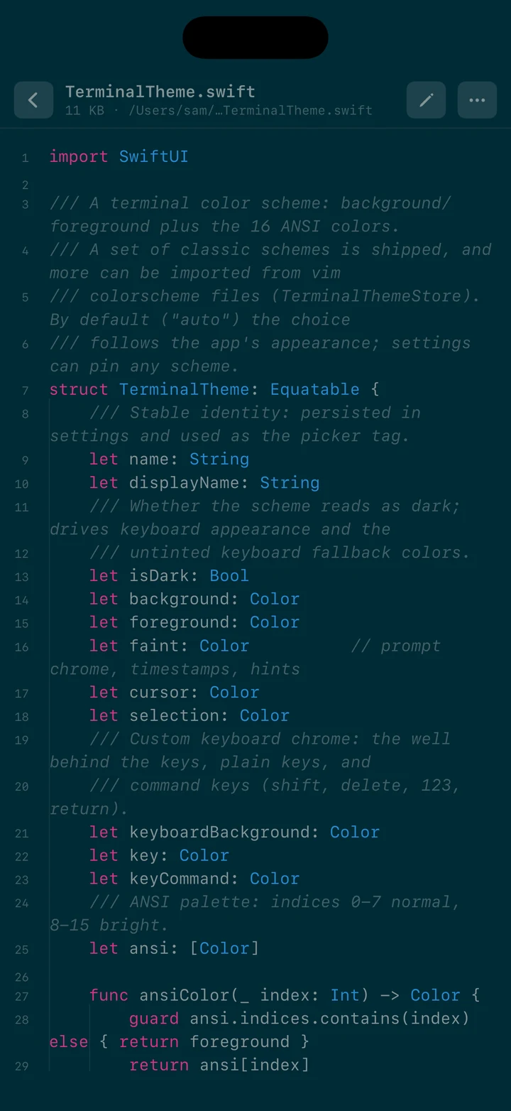 Remote code editor